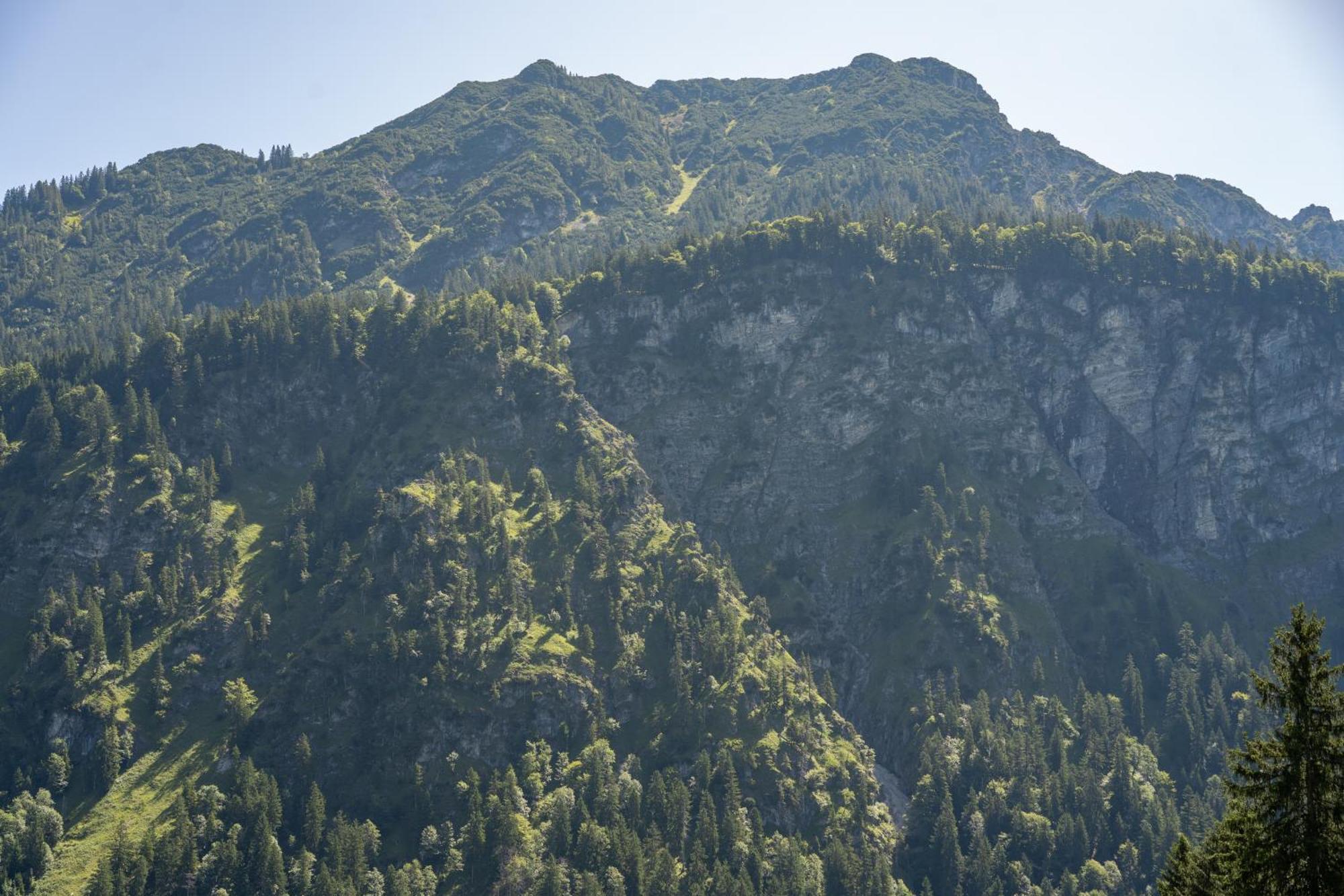 Waldgut Appartement Oberstdorf Buitenkant foto
